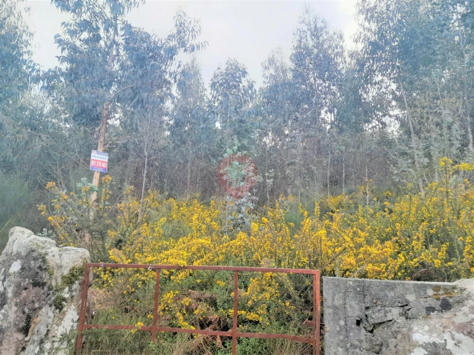 Terreno para Venda em Barbeita Foto 1