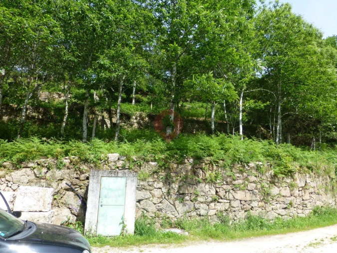 Terreno para Venda em Paderne Foto 3