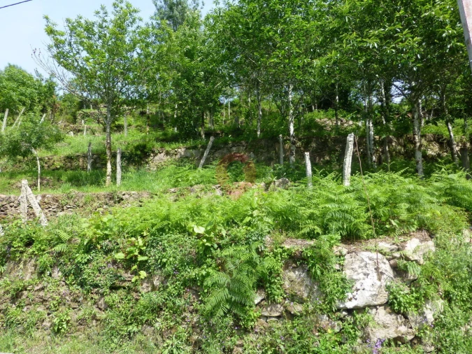 Terreno para Venda em Paderne