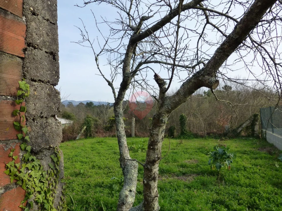 Terreno para Venda em Valença, Cristelo Covo e Arão Foto 3