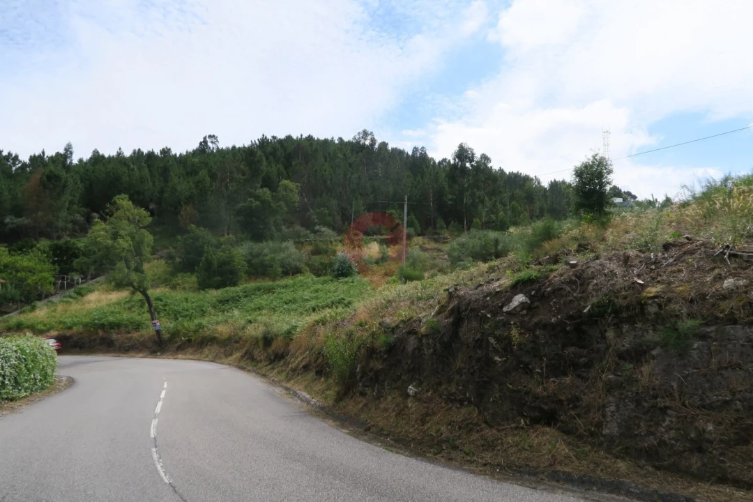 Terreno para Venda em Ceivães e Badim Foto 1