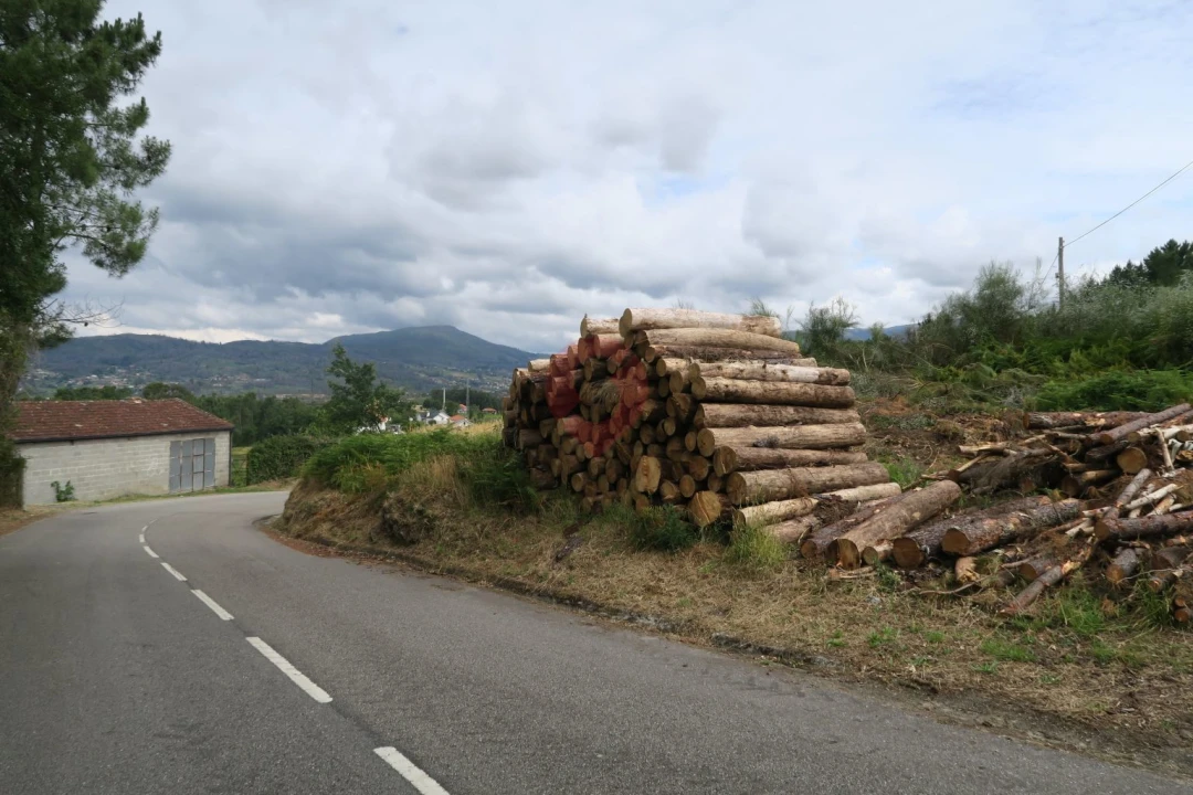 Terreno para Venda em Ceivães e Badim Foto 3