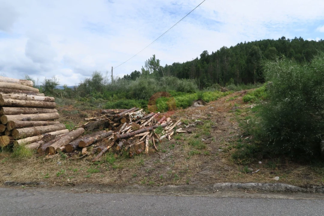 Terreno para Venda em Ceivães e Badim Foto 2