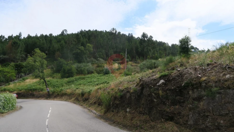 Terreno para Venda em Ceivães e Badim
