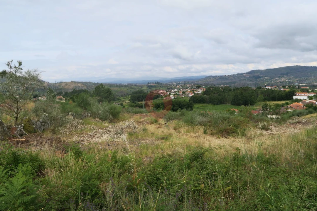 Terreno para Venda em Ceivães e Badim Foto 5