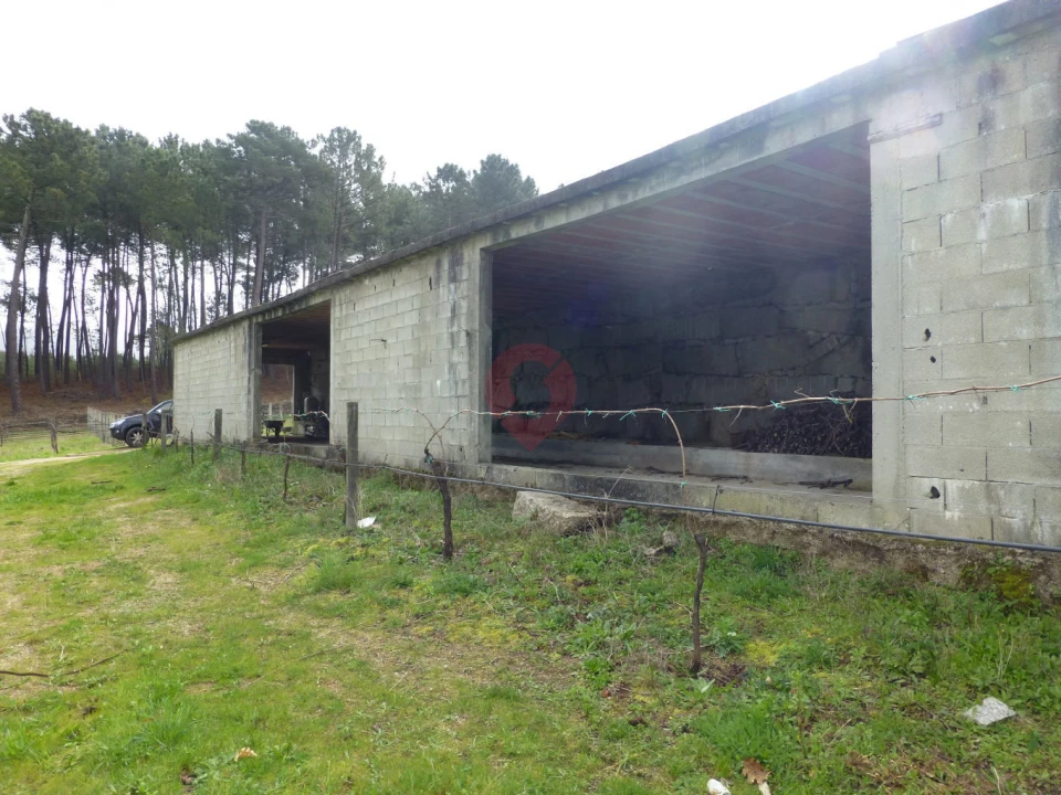 Terreno para Venda em Pias Foto 3