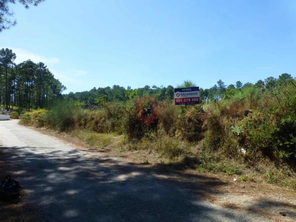 Terreno para Venda em Pias Foto 2