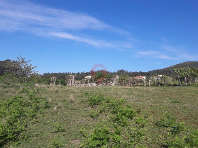 Terreno para Venda em Ganfei Foto 2