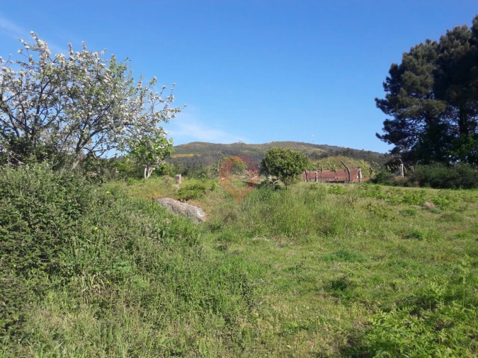 Terreno para Venda em Ganfei Foto 1