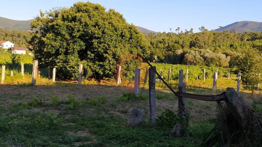 Terreno para Venda em Pias