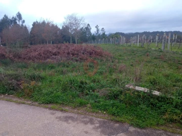 Terreno para Venda em Mazedo e Cortes