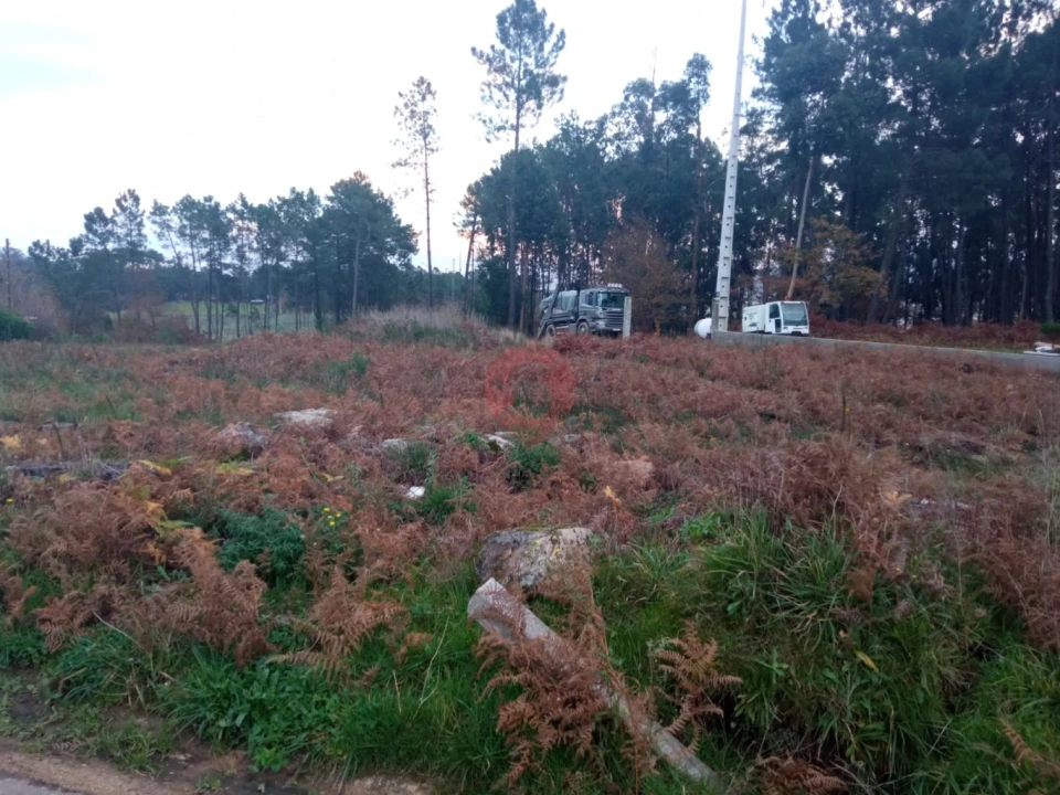 Terreno para Venda em Mazedo e Cortes Foto 2