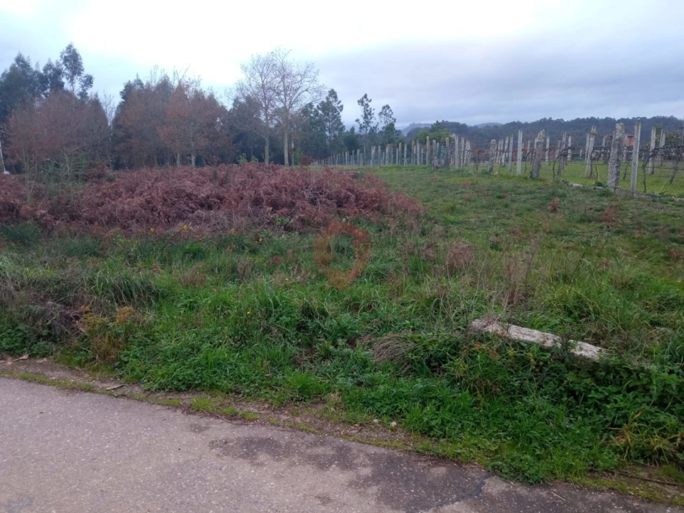 Terreno para Venda em Mazedo e Cortes Foto 4