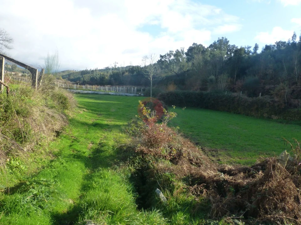Terreno para Venda em Longos Vales Foto 7