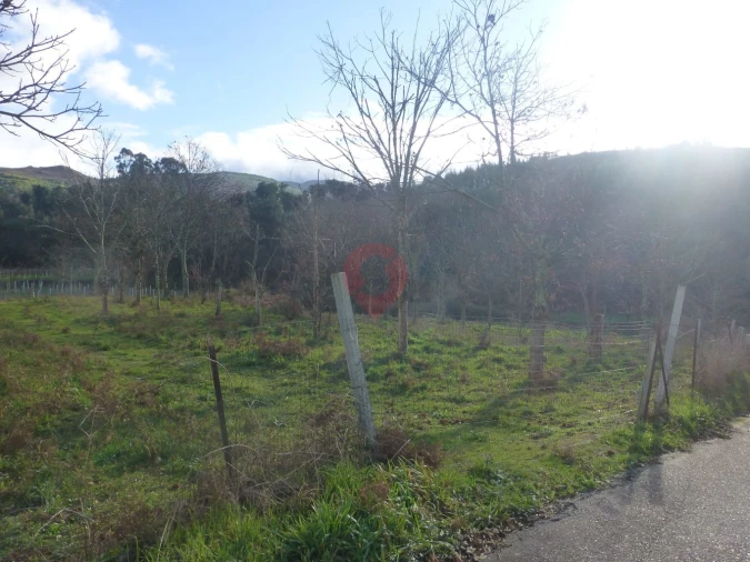 Terreno para Venda em Longos Vales Foto 5