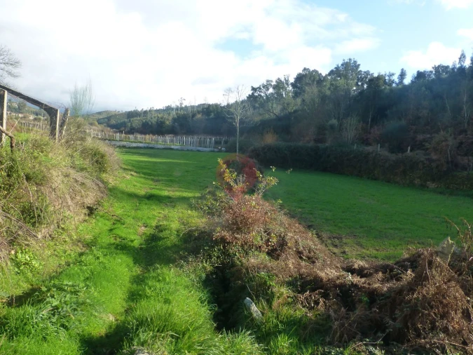 Terreno para Venda em Longos Vales Foto 7