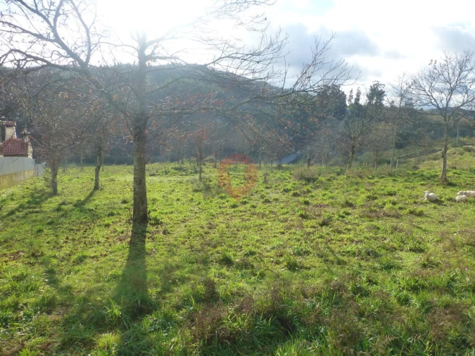 Terreno para Venda em Longos Vales Foto 2