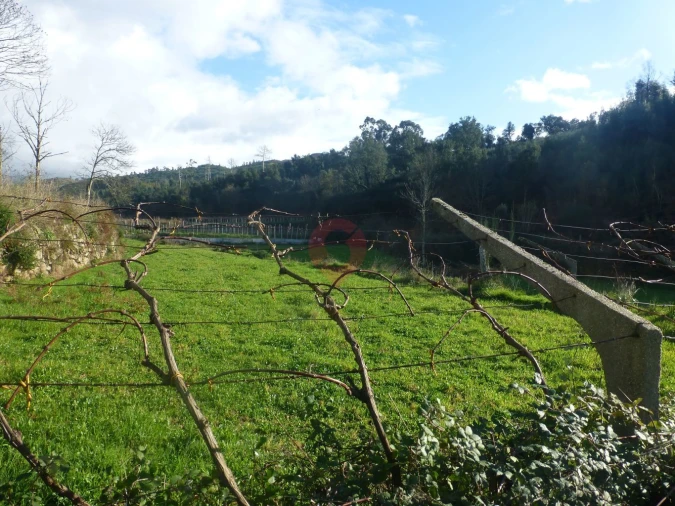 Terreno para Venda em Longos Vales Foto 6