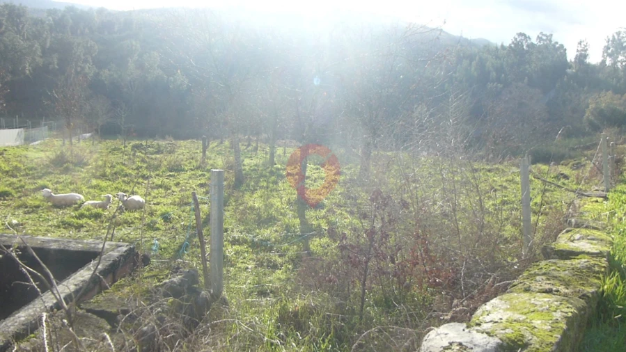 Terreno para Venda em Longos Vales Foto 4