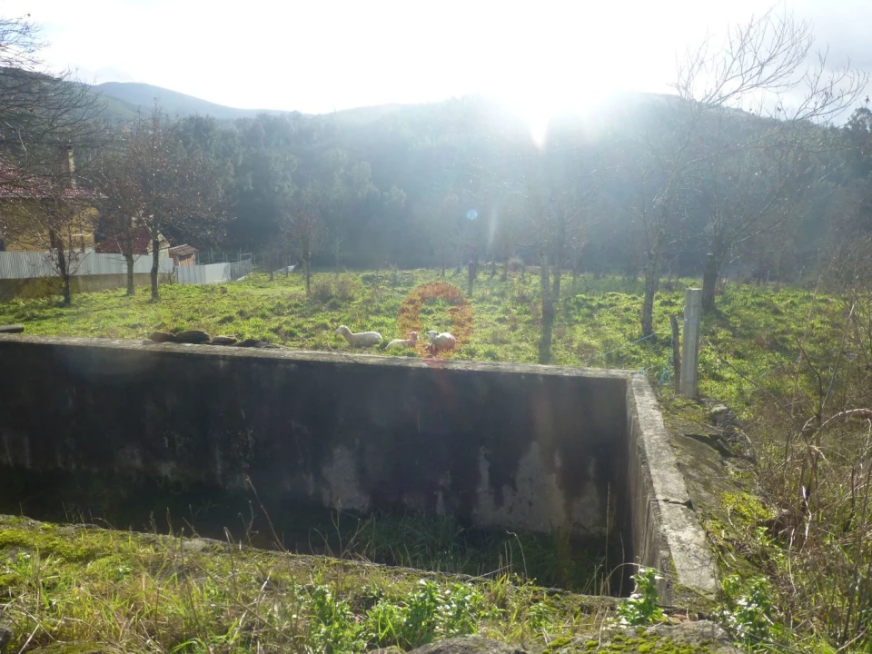 Terreno para Venda em Longos Vales Foto 1