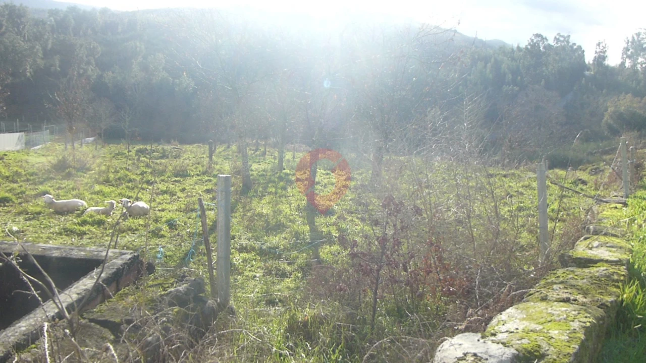 Terreno para Venda em Longos Vales Foto 4