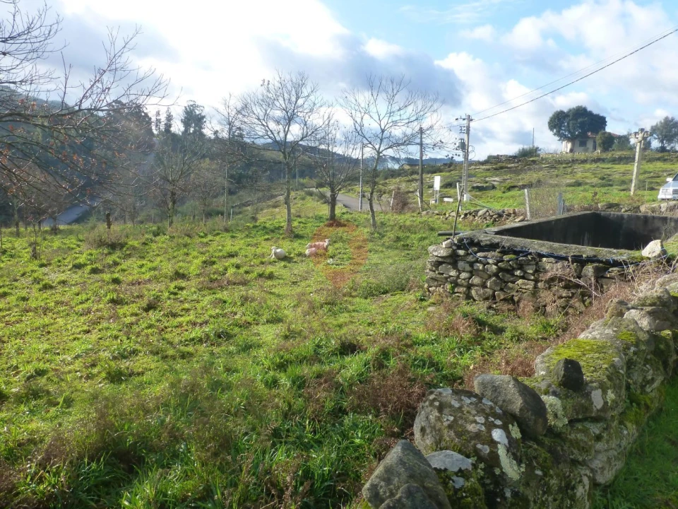 Terreno para Venda em Longos Vales Foto 3