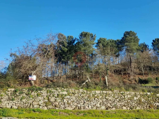 Terreno para Venda em Paderne