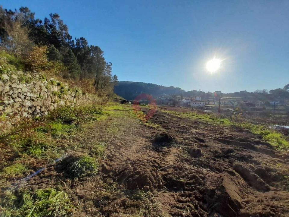 Terreno para Venda em Paderne Foto 2