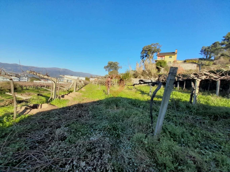 Terreno para Venda em Vila e Roussas Foto 2