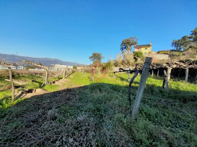Terreno para Venda em Vila e Roussas Foto 2