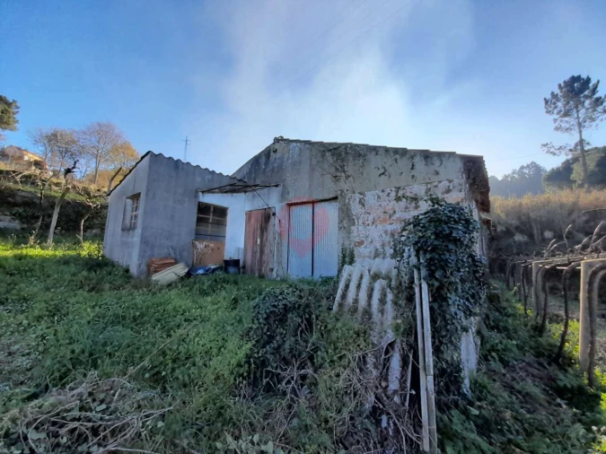 Terreno para Venda em Vila e Roussas Foto 3