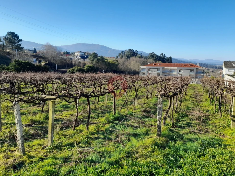 Terreno para Venda em Vila e Roussas Foto 2