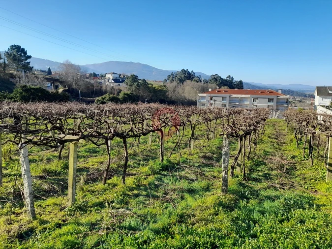 Terreno para Venda em Vila e Roussas Foto 2