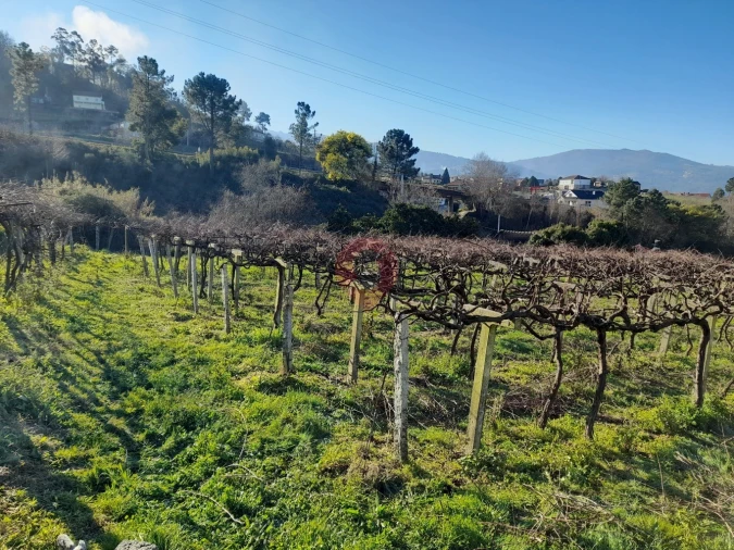 Terreno para Venda em Vila e Roussas Foto 3