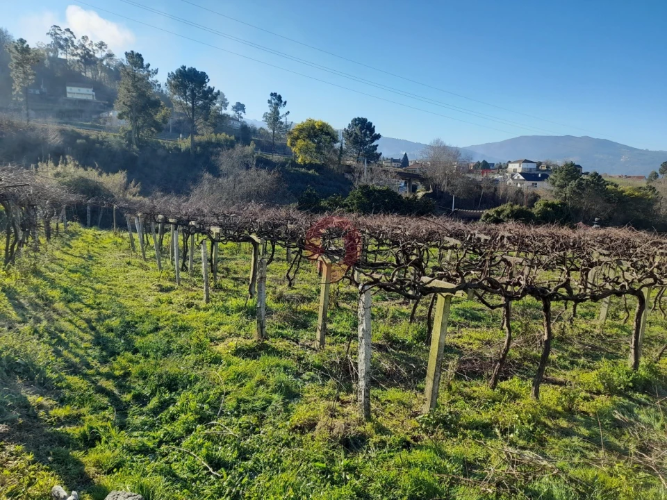 Terreno para Venda em Vila e Roussas Foto 3