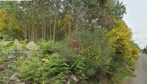 Terreno para Venda em Barbeita