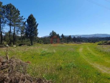 Terreno para Venda em Mazedo e Cortes