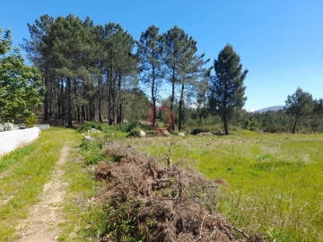 Terreno para Venda em Mazedo e Cortes