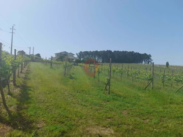 Terreno para Venda em Mazedo e Cortes