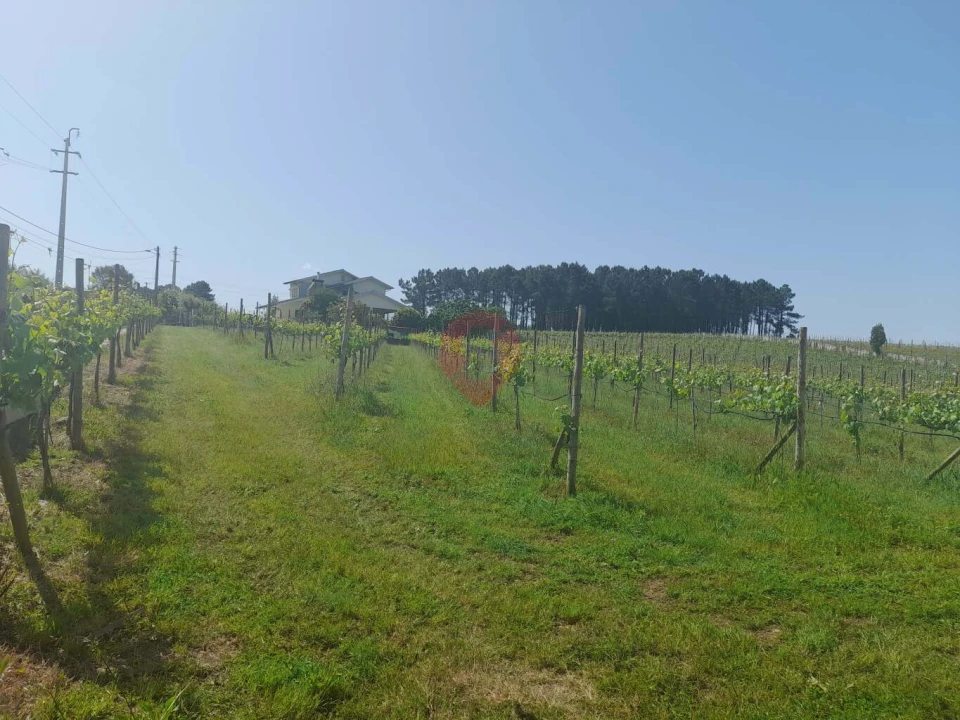 Terreno para Venda em Mazedo e Cortes Foto 2