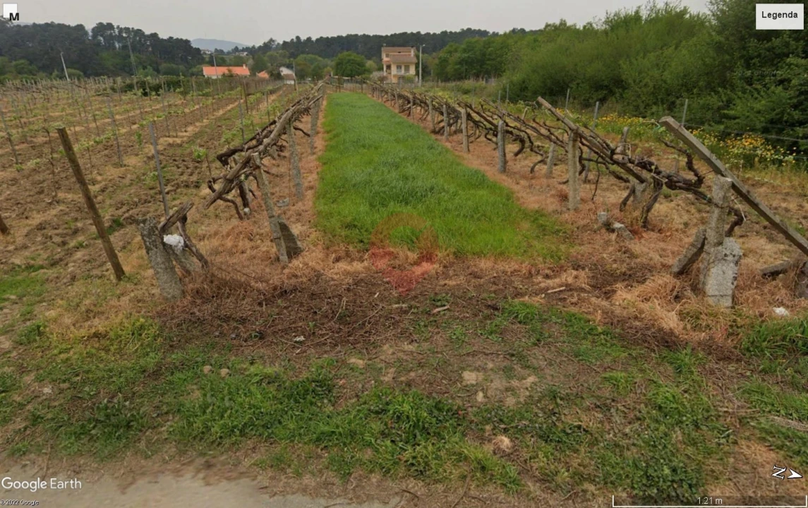 Terreno para Venda em Mazedo e Cortes Foto 1