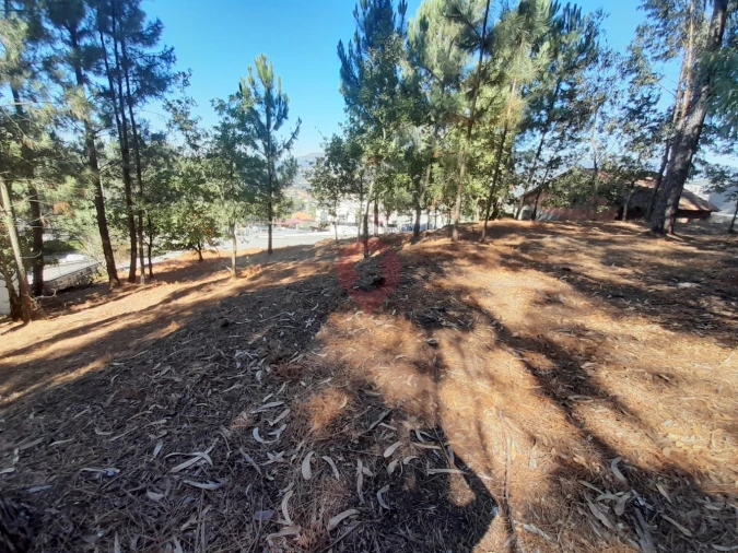 Terreno para Venda em Vila e Roussas Foto 5
