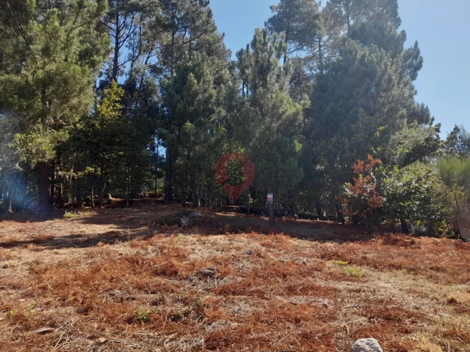 Terreno para Venda em Vila e Roussas Foto 3