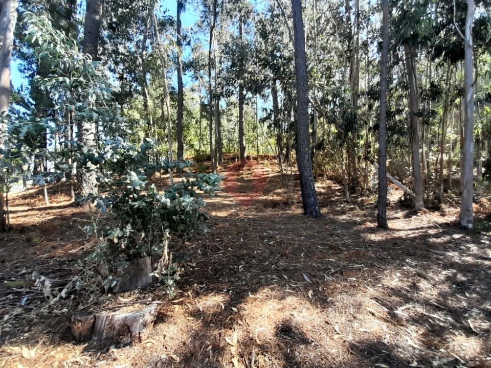 Terreno para Venda em Vila e Roussas Foto 4