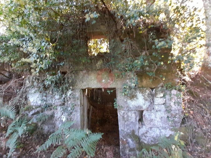 Terreno para Venda em Podame Foto 3