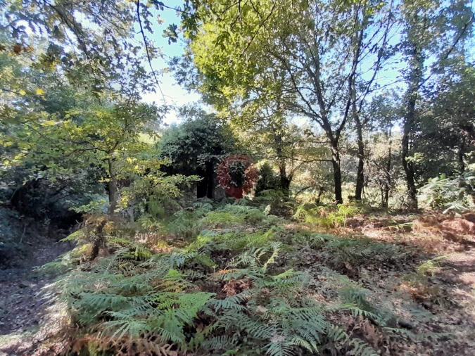 Terreno para Venda em Podame Foto 6