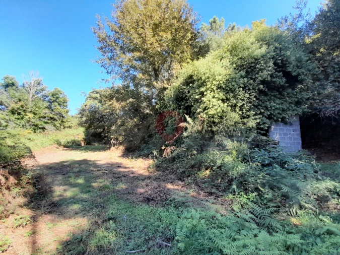 Terreno para Venda em Podame Foto 2