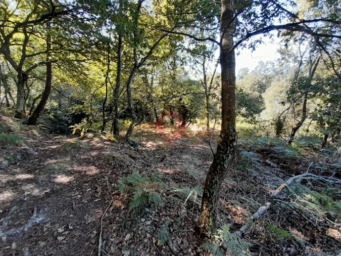 Terreno para Venda em Podame Foto 5