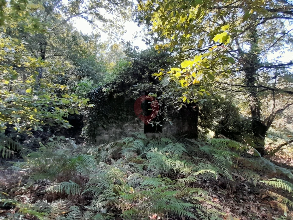 Terreno para Venda em Podame Foto 1