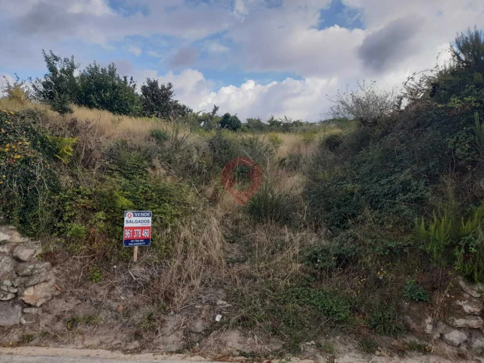 Terreno para Venda em São Paio Foto 2